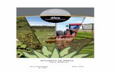 ENCUESTA DE ARROZ - mgap.gub.uy · Procesamiento y Redacción del Informe José Antonio Méndez Edición ... Superficie sembrada de arroz , por zona de producción, según tenencia