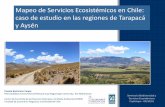 Mapeo de Servicios Ecosistémicos en Chile: caso de …portal.mma.gob.cl/wp-content/uploads/2016/10/... · Valoración económica de los servicios ecosistémicos asociados a los recursos