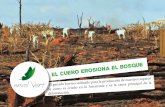 os a n.envol-vert.org/wp-content/uploads/2014/01/rapport-cuir-2013-V5def... · Maqueta : Agencia Albert Gamotte - ... deforestación, el ámbito de la ganadería bovina parece aún