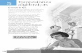 5 Expresiones algebraicas - Ayuda a estudiantes de …selectividad.intergranada.com/ESO/ESO-2/Resueltos/Santillana/05... · DESCUBRE LA HISTORIA… 1 Busca información sobre el papiro