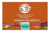 RAMSAR EN MÉXICO - intranet.cibnor.mxintranet.cibnor.mx/investigacion/ramsar/presentaciones/Apertura/... · Bahía de San Quintín 02/02/2008 1775 Baja California 5,438 ... San José