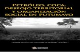 Petróleo, coca, despojo territorial y organización social ... · • Un peso considerable de la industria petrolera y la economía de la coca en su conformación territorial.