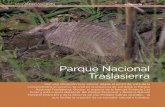 Parque Nacional Traslasierra - argentinambiental.comargentinambiental.com/wp-content/uploads/pdf/AA91-32-Parque_Nac... · el mito del cóndor como gran depredador, capaz de llevarse