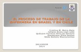 EL PROCESO DE TRABAJO DE LA ENFERMERA EN …€¦ · SALVADOR 2014 . Introducción ... En Chile, el trabajo de la enfermera comprende tres grandes ejes: gestión del cuidado, ejecución