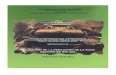 La Paz, Enero de 2002 - alt-perubolivia.orgalt-perubolivia.org/Web_Bio/PROYECTO/Docum_bolivia/21.22.pdf · Proyecto: Evaluación de la población de la rana gigante en Bolivia ...