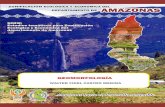 2 Hacia la búsqueda del desarrollo sostenible - iiap.org.pe · Programa de Investigaciones en Cambio Climático, ... al oeste por Cajamarca; ... La Florida, Nieva, Bagua Grande,