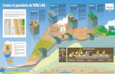 Conoce el gasoducto de PERU LNG - …srvgart07.osinerg.gob.pe/WebDGN/Contenido/pdfs/Gasoducto PERU L… · Región Janca Por encima de los 4800 msnm Región Puna 4000 – 4800 msnm