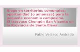 Pablo Velasco Andrade - ECORFANecorfan.org/congresos/5toanual/ING. VELASCO... · ¿Acaso existe algún programa o proyecto de riego y ... Solamente el 2% es socio de una cooperativa