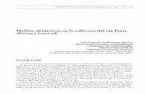 Medios dinámicos enlacabecera del río Ésera (Pirineo …00000027.pdf · dos y no encharcables de roquedos silíceos a solana, y de bosques de abeto ... les. que forman parte muydestacada