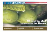 El éxito del aguacate Hass - gaceta.udg.mx · impacto mayor en el crecimiento del país”. Luis Enrique Sucar enfatizó la importancia de estar aten-tos, como ingenieros, ... Se