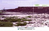 Determinación de los valores ambientales de la turbera … · propuesta 4ª INSTALACIÓN DE UN VALLADO PARA EL CONTROL DEL ... CONSTRUCCION DEL TERRAPLEN ... El informe ha quedado