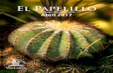 El Papelillo - Vallarta Botanical Gardens · 9 Celebra el Fin de Semana del Día de la Tierra en ... y frenar la masacre insostenible. En nuestro rincón ... en las selvas de Chiapas