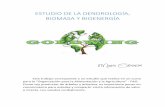 ESTUDIO DE LA DENDROLOGÍA, BIOMASA Y BIOENERGÍAgoldwing.com.ar/gallery/dendrologia, biomasa y bioenergia 1° parte... · Residuos agrícolas y forestales Los vegetales son una fuente