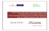 ESTUDIO DE RECUPERADORES DE COVs EN …4.interreg-sudoe.eu/contenido-dinamico/libreria-ficheros/60521A33... · Estudio de mercado sobre la viabilidad de una red de recarga de reduzcan