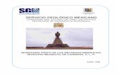SERVICIO GEOLÓGICO MEXICANO - SGM · Geológico Mexicano destinó al personal técnico para el trabajo de campo y dio inicio al segundo convenio de inventario físico de los recursos