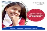 COMUNIDAD ANDINA · que está a cargo de la Presidencia del Consejo Presidencial Andino. Funciones: ... COMISIÓN DE LA COMUNIDAD ANDINA Está constituida por un representante