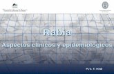 RABIA - ecaths1.s3.amazonaws.comecaths1.s3.amazonaws.com/transmisiblespa/566801812.Rabia Mayo 2018.pdf · ¿Qué es la RABIA? Enfermedad infecciosa, vírica, no contagiosa que afecta