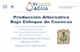 Producción Alternativa Bajo Enfoque ... - Red del Agua UNAM · gestion del territorio manejo de la dinamica eco-hidrologica ... nopal copena sorgo, girasol, chia, linaza soya, higuerilla