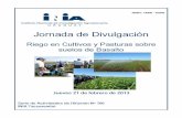 TABLA DE CONTENIDO - inia.uy compartidos/112935220213084600... · Efectos del Riego y la Fertilización en la producción y composición de un campo natural de ... Riego de maíz