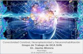 Conectividad Cerebral, Neuroplasticidad y ...lapedrera.san.gva.es/documents/3882547/3899939/NRHB_NeuroPlast... · La plasticidad neuronal o neuroplasticidad, es una propiedad emergente