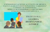 PROFESORA · cuantitativas ( Ordinales, continuas y discretas) Profesora. Gloria Hernández Gómez, FES “ Zaragoza” ... Nominales ó Cardinales Ordinales. 7 Cuantitativas