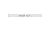 CAPITULO ICAPITULO I · 2016-06-14 · La planeación y ordenamiento del territorio es una función y ... biótico es el conjunto de el ementos bióticos y ... Los parámetros básicos