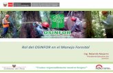 Rol del OSINFOR en el Manejo Forestal - forestlegality.org Navarro... · de Transporte Forestal (GTF) GOBIERNO REGIONAL Autoridad encargada de la administración y control forestal