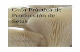 Guía Práctica de Producción de Setas - Grupo Fungitechgrupofungitech.com/manual1.pdf · 31Orificios en Bolsas 33 Formación de Primordios ... por lo tanto su cantidad de peso seco