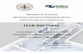 TESIS DOCTORAL - UVaDOC: Iniciouvadoc.uva.es/bitstream/10324/75/1/TESIS25-090715.pdf · • Centro para el Desarrollo Tecnológico ... estandarización de parámetros ambientales