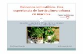 Balcones comestibles. Una experiencia de horticultura ... · Algunas definiciones Maceto huerto: Cultivo de hortalizas en una o más macetas, jardineras u otro tipo de contenedores.