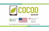 Tecnología para mejorar la vida de agricultores · Acido/Salado (Aceitunas) Cacao Ahumado Notas de canela Banano verde Curry Crudo/Verde Almendra Azucar morena Toque floral (rosas)