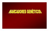 Tema marcadores enologia ampliado 2011 - Universidad de Cádizasociaciones.uca.es/genetica-vid/Bloques/Bloque-Marcadores-genetic... · Polimorfismos de Longitud en Fragmentos de Restricción