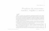 Pradera de masonite: sueño, vigilia y amor - web.uaemex.mxweb.uaemex.mx/plin/colmena/Colmena_76/Libros/5_Pradera_de_Masonite.pdf · inventó un procedimiento para obtener, a partir