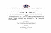 CARRERA DE LABORATORIO CLÍNICO E HISTOPATOLÓGICO TESINA DE ...dspace.unach.edu.ec/bitstream/51000/1340/1/UNACH-EC-LAB.CLIN-2016... · para el ejercicio académico de la Defensa