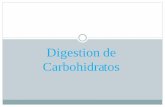 Presentación de PowerPoint - | Dr. Alejandro Alvarez · Es la ruta por medio de la cual los azúcares de 6 carbonos (que ... Regulacion de la Glicolisis El flujo de glucosa a la