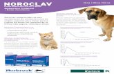 NOROCLAV 500mg FOLLETO A4 - karizoo.com · a la combinación Amoxicilina y Ácido Clavulánico demuestran la palatabilidad de Noroclav incluso en situaciones de abatimiento y postración.