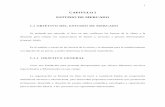 CAPITULO I ESTUDIO DE MERCADO - Repositorio de la ...repositorio.espe.edu.ec/bitstream/21000/1344/2/T-ESPE-027627.pdf · insertarse en el campo laboral sin ningún contratiempo. ...