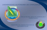 UNIVERSIDAD AUTÓNOMA DE CHIHUAHUA - 2006 …2006-2012.conacyt.gob.mx/Becas/feria/Documents/Estudios... · Estudios es el Estudio de Caso. ... PROFESORES ESTUDIANTES DIRECTIVOS. ANTECEDENTES