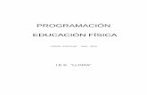 PROGRAMACIÓN DE EDUCACIÓN FÍSICA - Ies Lloixaieslloixa.edu.gva.es/Documentos/departamentos/Educacion Fisica/ef.pdf · El deporte, en los últimos años de la enseñanza obligatoria,