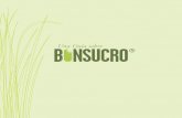 Una Guía sobre - gob.mx · se lleva a cabo durante la Semana Bonsucro. ... Bonsucro opera con el principio de “lo que se puede medir, ... Los indicadores que se utilizan para comprobar