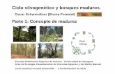 Parte 1: Concepto de madurez - eps.unizar.es · Ciclo silvogenético y bosques maduros. Oscar Schwendtner (Bioma Forestal) Parte 1: Concepto de madurez Escuela Politécnica Superior