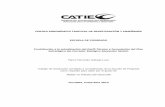 CENTRO AGRONÓMICO TROPICAL DE INVESTIGACIÓN Y …orton.catie.ac.cr/repdoc/A11464e/A11464e.pdf · Finalmente, siguiendo la línea de trabajo de los enfoques utilizados a los largo