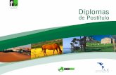 DIPLOMAS DE Diplomas - apoidea.co · Indice Fondo Verde Nuestros Proyectos Fondo Verde en Cifras Diploma de Postítulo Internacional en Ecoturismo Presentación El Programa Algunos