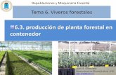 6.3. producción de planta forestal en contenedorecaths1.s3.amazonaws.com/viverosforestalesi/1187651882.Produccion... · Características de un sustrato: porosidad ... determina la