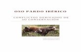 OSO PARDO IBÉRICO - Dipòsit Digital de Documents de la UAB · 2015-11-04 · diversas especies en peligro de extinción, ... En cuanto a los proyectos de recuperación del oso en