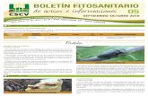 Desde el 23 de julio hasta el 7 de Phoma Alternaria ... · -1-comercializaciÓn y utilizaciÓn de productos fitosanitarios boletÍn fitosanitario de avisos e informaciones c e n t