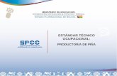 ESTÁNDAR TÉCNICO OCUPACIONALformaciontecnicabolivia.org/webdocs/publicaciones/2016/Estandar... · destrezas de los productores de piña en las diferentes etapas del proceso productivo,