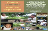 Como “Experiencia en la práctica de sistemas semillas ...solidaridadcvx.org/wp-content/uploads/2017/11/Como-semillas-que-se...GLOSARIO DE SIGLAS AS: Agricultura Sostenible ARENA: