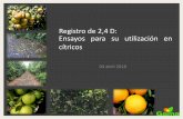 Registro de 2,4 D: Ensayos para su utilización en cítricos · –Diámetro de ombligo –Número de frutos con ombligo cerrado • Variedad: W. Murcott • Portainjerto: C35 •
