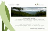 Estudio de la Cuenca de Abasto de la Región Morelos del ... · Mapa de Densidades de Carbono en la Cuenca Morelos ... Saldo de la balanza comercial de productos forestales maderables